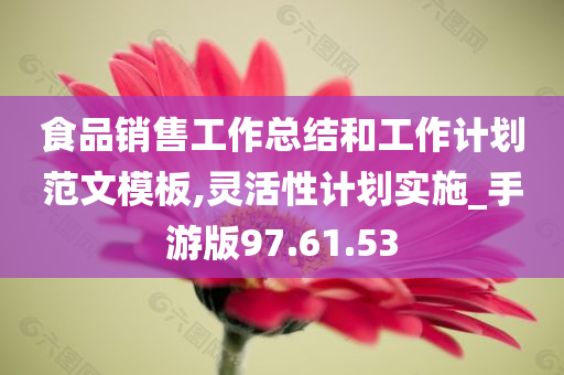 食品销售工作总结和工作计划范文模板,灵活性计划实施_手游版97.61.53