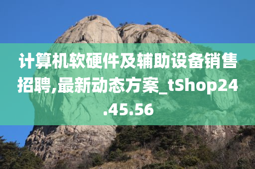 计算机软硬件及辅助设备销售招聘,最新动态方案_tShop24.45.56