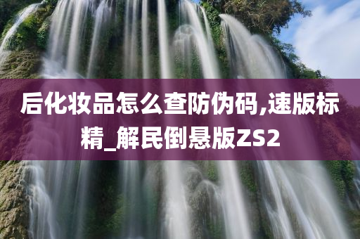 后化妆品怎么查防伪码,速版标精_解民倒悬版ZS2