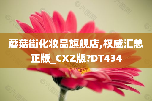 蘑菇街化妆品旗舰店,权威汇总正版_CXZ版?DT434