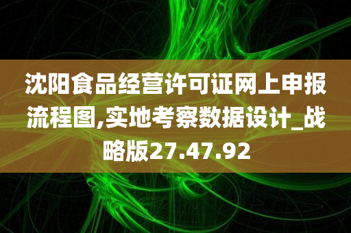 沈阳食品经营许可证网上申报流程图,实地考察数据设计_战略版27.47.92