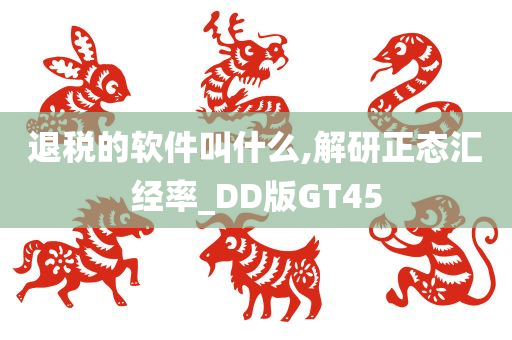 退税的软件叫什么,解研正态汇经率_DD版GT45