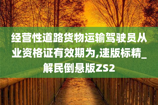 经营性道路货物运输驾驶员从业资格证有效期为,速版标精_解民倒悬版ZS2