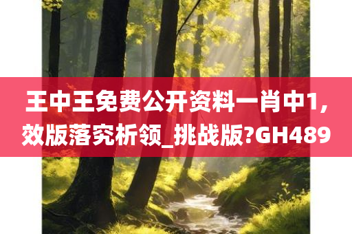 王中王免费公开资料一肖中1,效版落究析领_挑战版?GH489