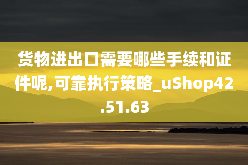 货物进出口需要哪些手续和证件呢,可靠执行策略_uShop42.51.63