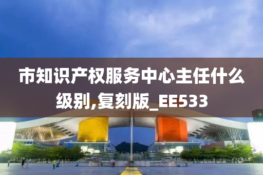 市知识产权服务中心主任什么级别,复刻版_EE533