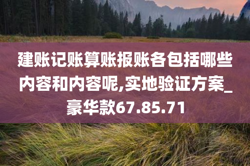 建账记账算账报账各包括哪些内容和内容呢,实地验证方案_豪华款67.85.71