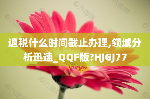 退税什么时间截止办理,领域分析迅速_QQF版?HJGJ77