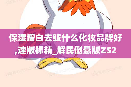 保湿增白去皱什么化妆品牌好,速版标精_解民倒悬版ZS2