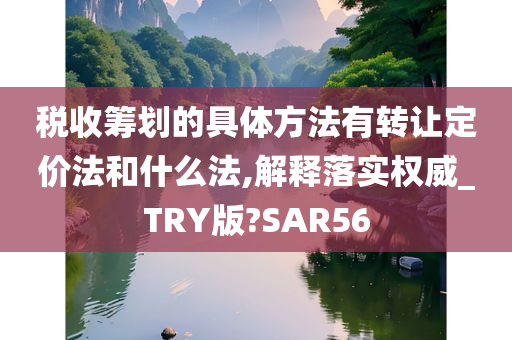 税收筹划的具体方法有转让定价法和什么法,解释落实权威_TRY版?SAR56