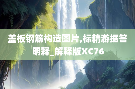 盖板钢筋构造图片,标精游据答明释_解释版XC76