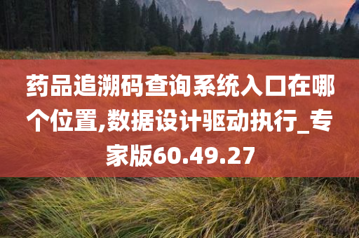 药品追溯码查询系统入口在哪个位置,数据设计驱动执行_专家版60.49.27