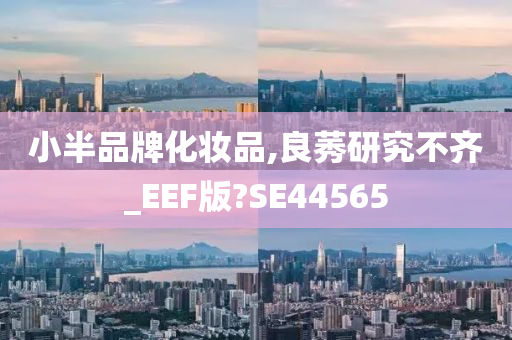 小半品牌化妆品,良莠研究不齐_EEF版?SE44565