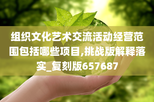 组织文化艺术交流活动经营范围包括哪些项目,挑战版解释落实_复刻版657687