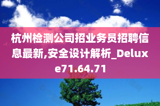 杭州检测公司招业务员招聘信息最新,安全设计解析_Deluxe71.64.71