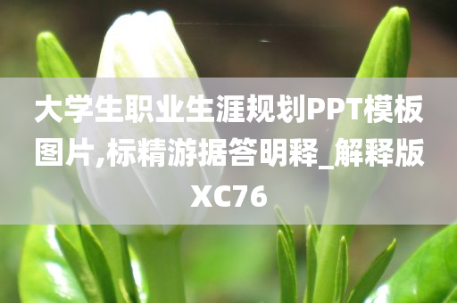 大学生职业生涯规划PPT模板图片,标精游据答明释_解释版XC76