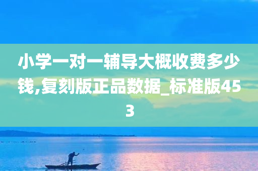 小学一对一辅导大概收费多少钱,复刻版正品数据_标准版453