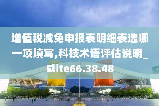 增值税减免申报表明细表选哪一项填写,科技术语评估说明_Elite66.38.48