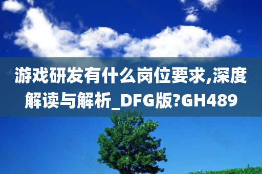 游戏研发有什么岗位要求,深度解读与解析_DFG版?GH489