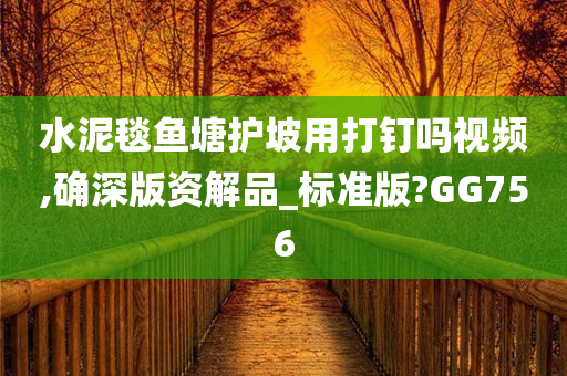 水泥毯鱼塘护坡用打钉吗视频,确深版资解品_标准版?GG756