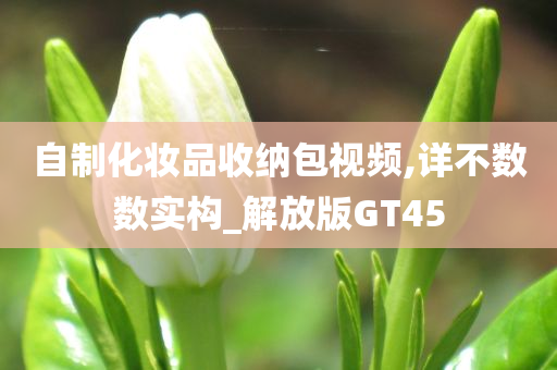 自制化妆品收纳包视频,详不数数实构_解放版GT45