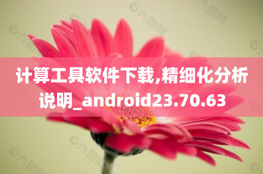 计算工具软件下载,精细化分析说明_android23.70.63