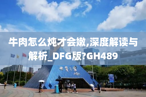 牛肉怎么炖才会嫩,深度解读与解析_DFG版?GH489