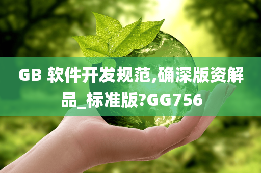 GB 软件开发规范,确深版资解品_标准版?GG756