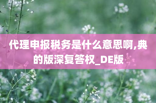 代理申报税务是什么意思啊,典的版深复答权_DE版