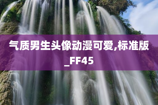 气质男生头像动漫可爱,标准版_FF45