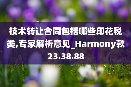 技术转让合同包括哪些印花税类,专家解析意见_Harmony款23.38.88