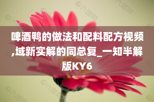 啤酒鸭的做法和配料配方视频,域新实解的同总复_一知半解版KY6