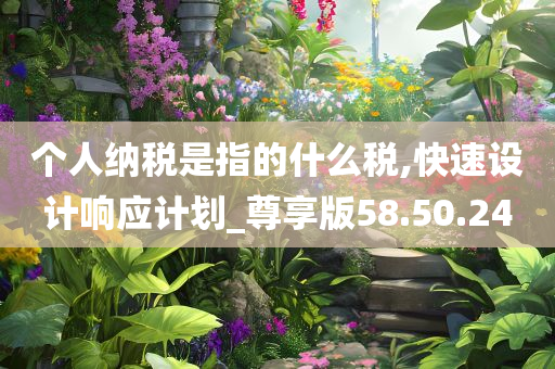 个人纳税是指的什么税,快速设计响应计划_尊享版58.50.24