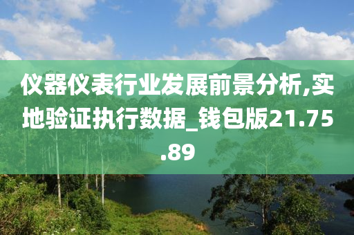 仪器仪表行业发展前景分析,实地验证执行数据_钱包版21.75.89