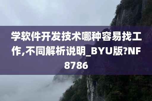 学软件开发技术哪种容易找工作,不同解析说明_BYU版?NF8786