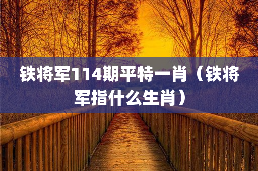 铁将军114期平特一肖（铁将军指什么生肖）