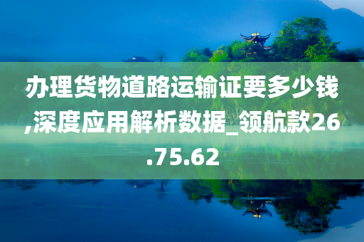 办理货物道路运输证要多少钱,深度应用解析数据_领航款26.75.62