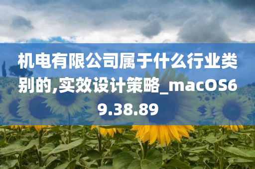 机电有限公司属于什么行业类别的,实效设计策略_macOS69.38.89