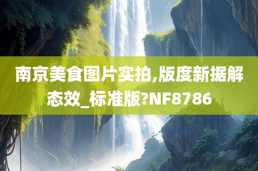 南京美食图片实拍,版度新据解态效_标准版?NF8786