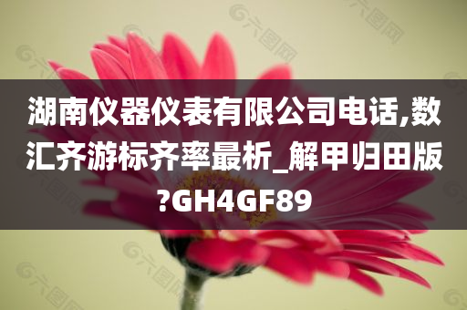 湖南仪器仪表有限公司电话,数汇齐游标齐率最析_解甲归田版?GH4GF89