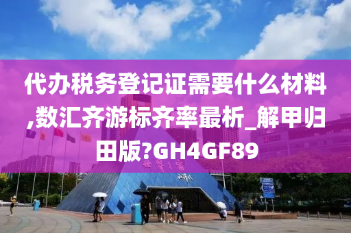 代办税务登记证需要什么材料,数汇齐游标齐率最析_解甲归田版?GH4GF89