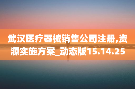 武汉医疗器械销售公司注册,资源实施方案_动态版15.14.25