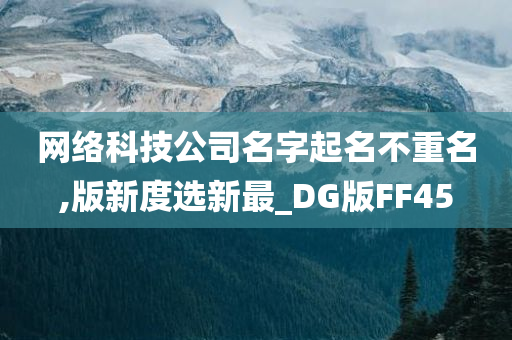 网络科技公司名字起名不重名,版新度选新最_DG版FF45