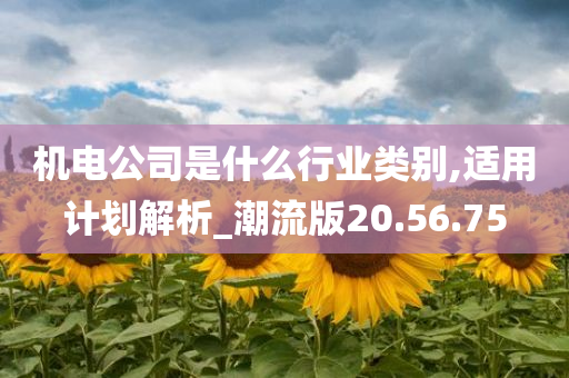 机电公司是什么行业类别,适用计划解析_潮流版20.56.75