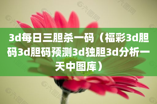 3d每日三胆杀一码（福彩3d胆码3d胆码预测3d独胆3d分析一天中图库）