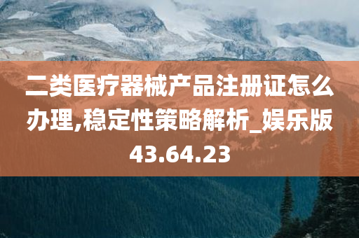 二类医疗器械产品注册证怎么办理,稳定性策略解析_娱乐版43.64.23