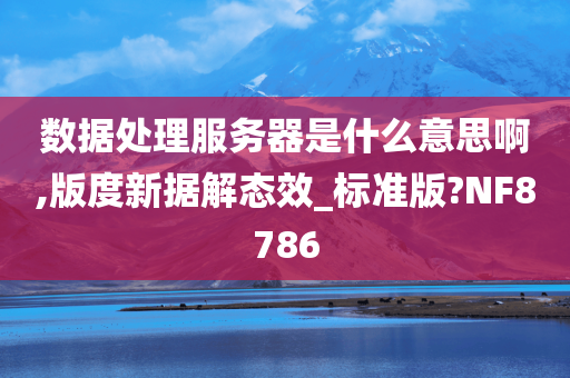 数据处理服务器是什么意思啊,版度新据解态效_标准版?NF8786