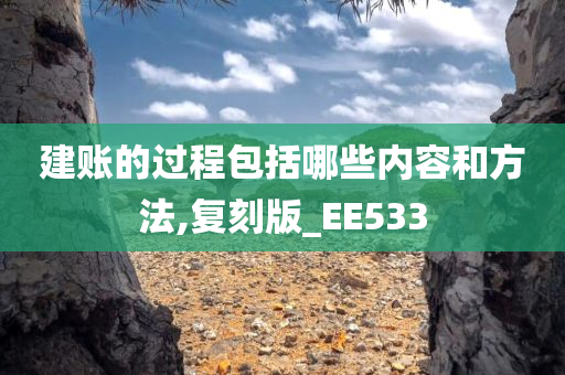 建账的过程包括哪些内容和方法,复刻版_EE533