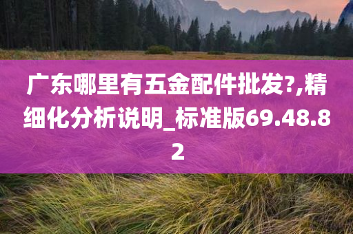 广东哪里有五金配件批发?,精细化分析说明_标准版69.48.82