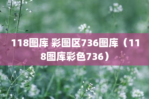 118图库 彩图区736图库（118图库彩色736）